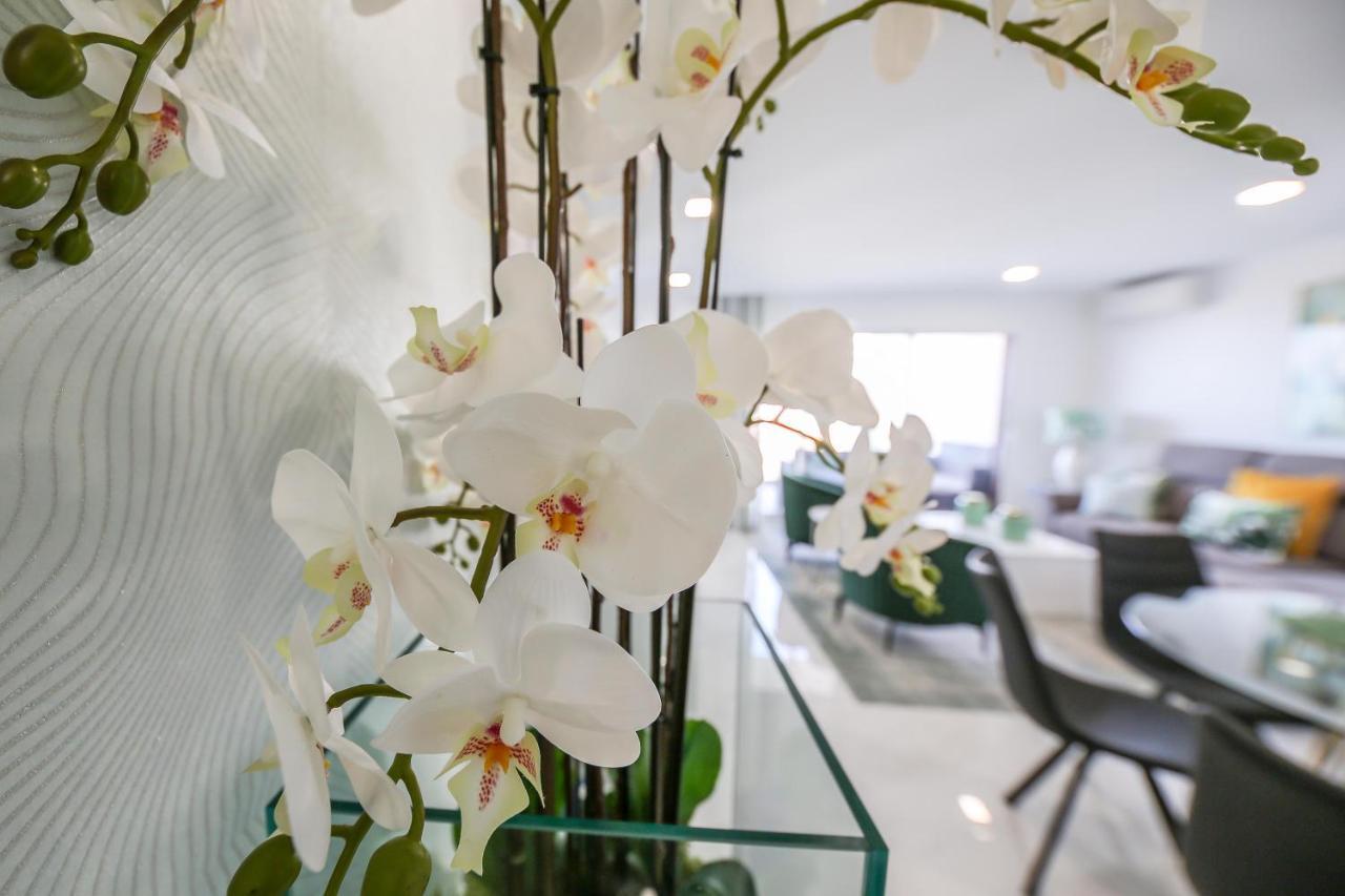Beautiful Nazare Apartment, Close To The Beach! المظهر الخارجي الصورة